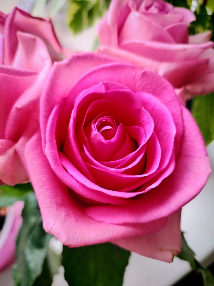 Фотография автора Юлия Ю.