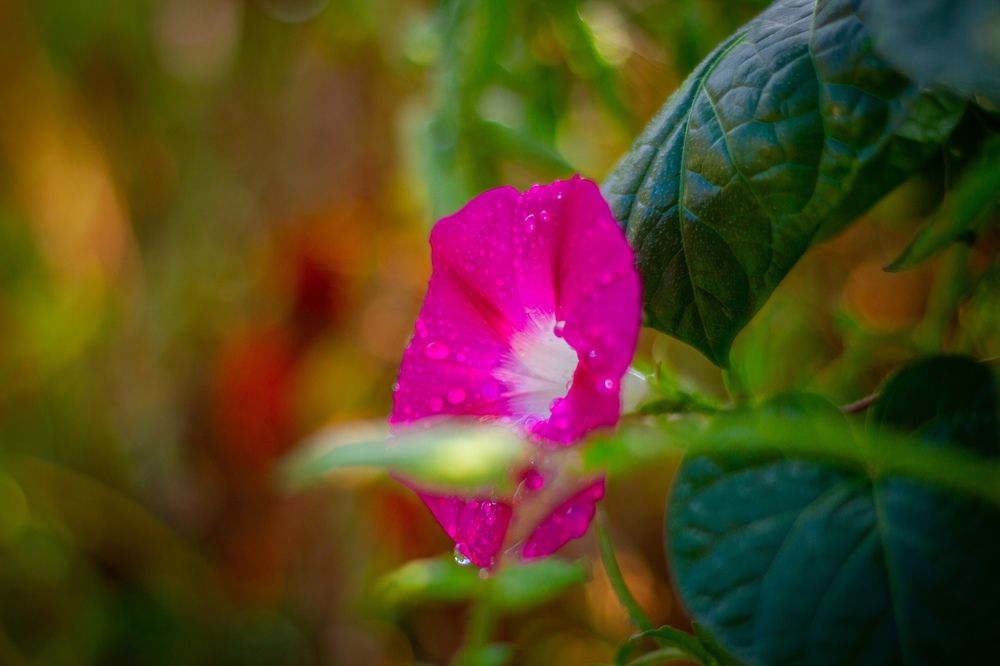 Фотография автора Иван Карпов