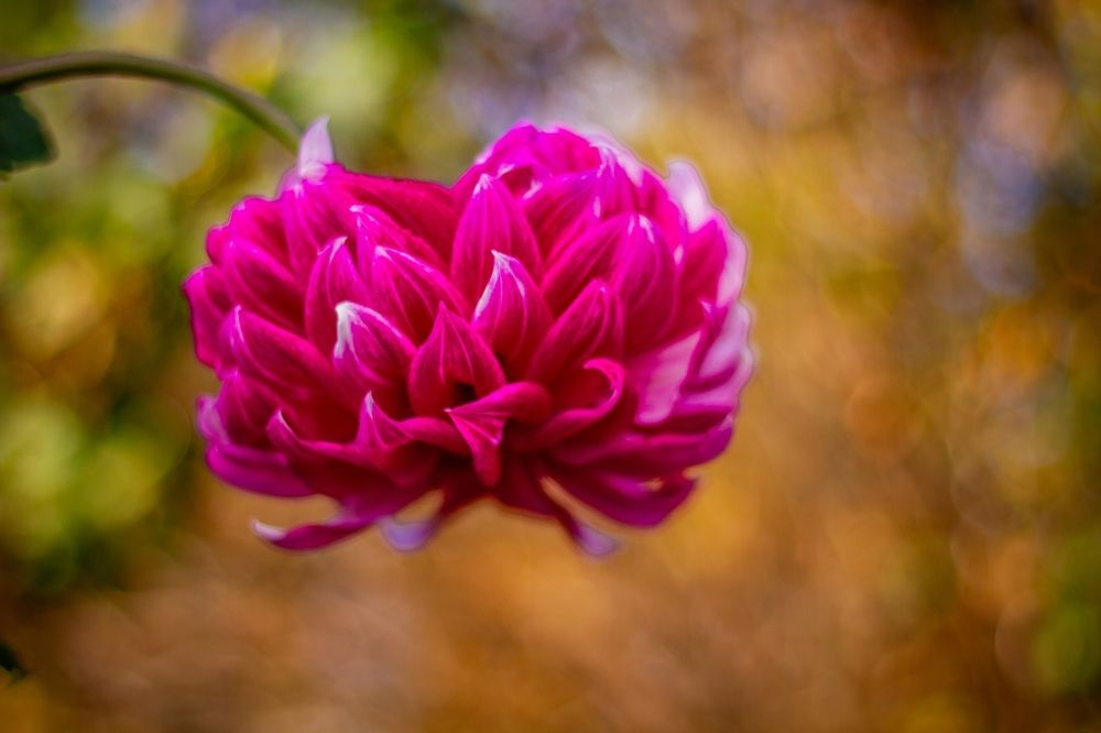 Фотография автора Иван Карпов