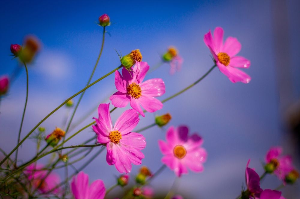 Фотография автора Иван Карпов