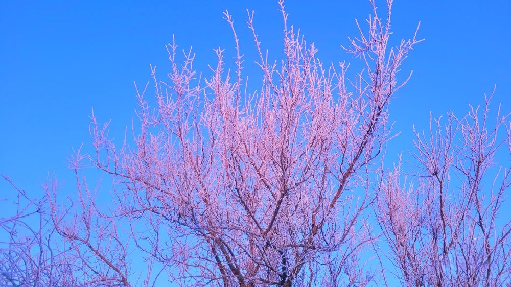 Фотография автора Метушова Анна