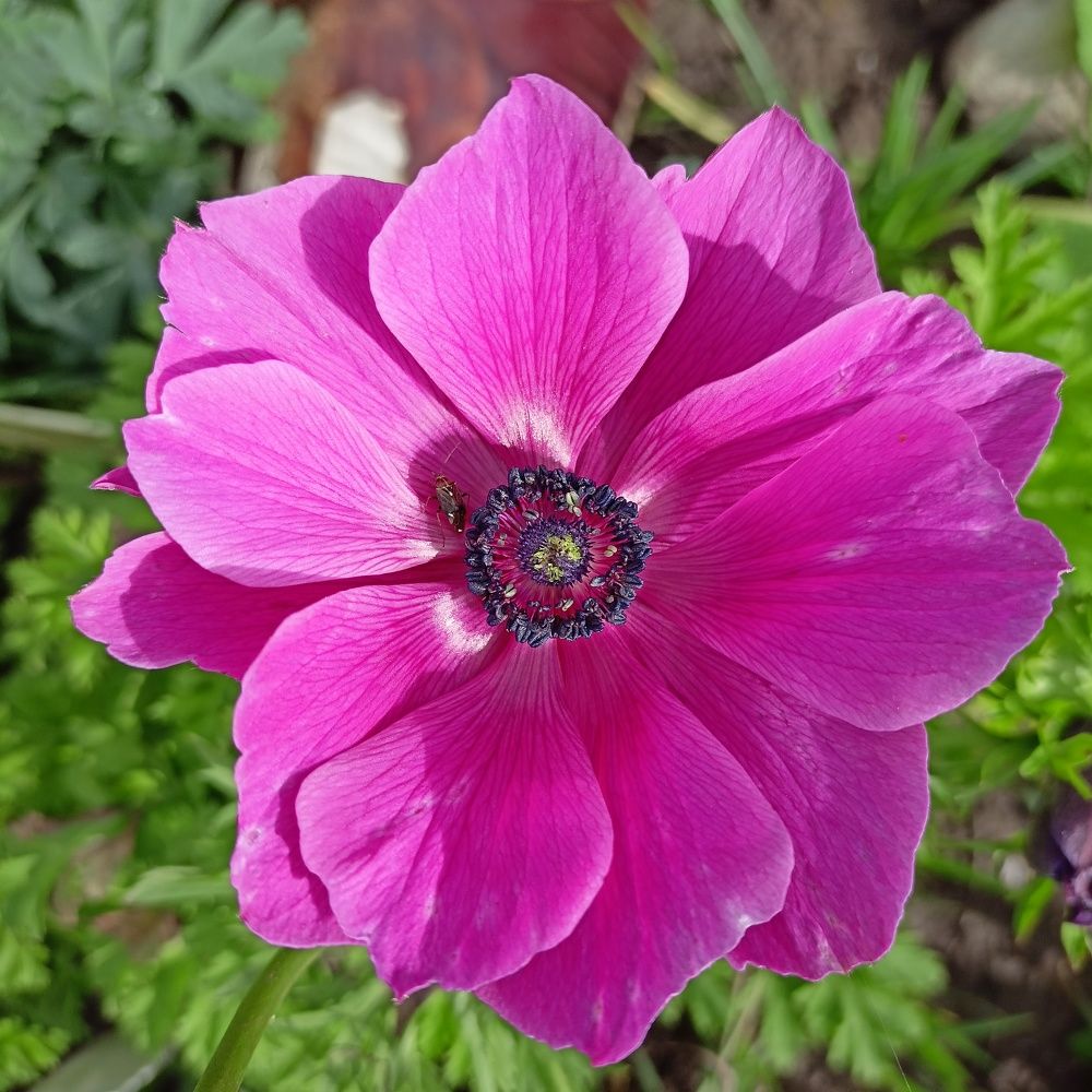 Фотография автора Анастасия Горбачева