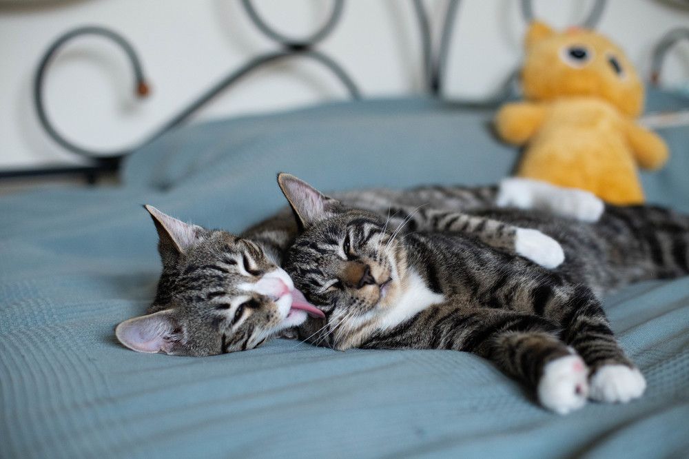 Photograph by Любовь