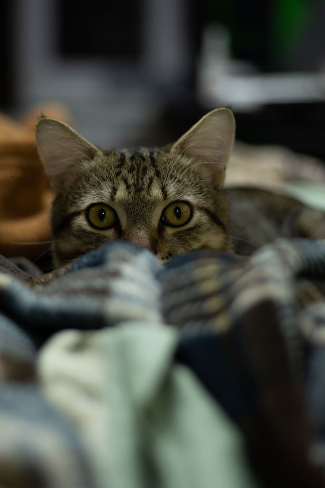 Фотография автора Ксения Золотарь