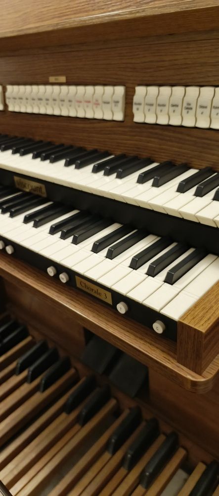 Photograph by Светлана Митрофанова