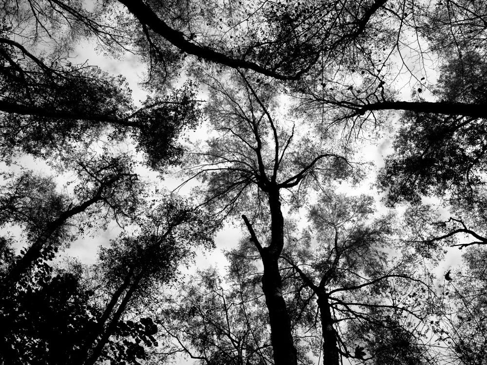 Photograph by Боков Дмитрий