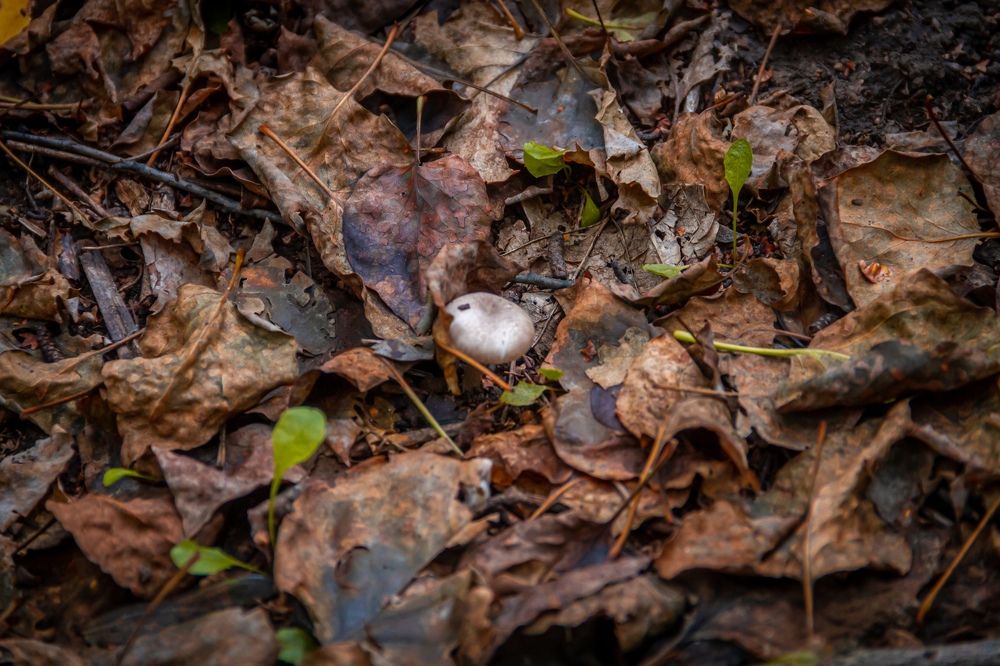 Фотография автора Иван Карпов