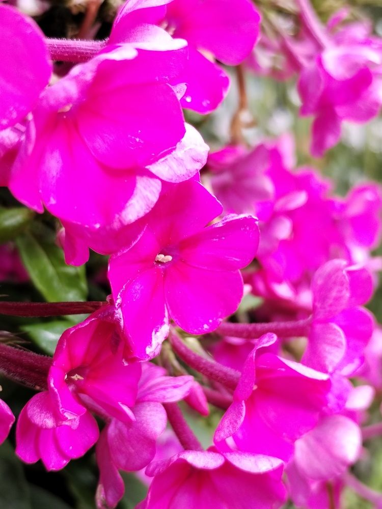 Фотография автора Юлия Ю.