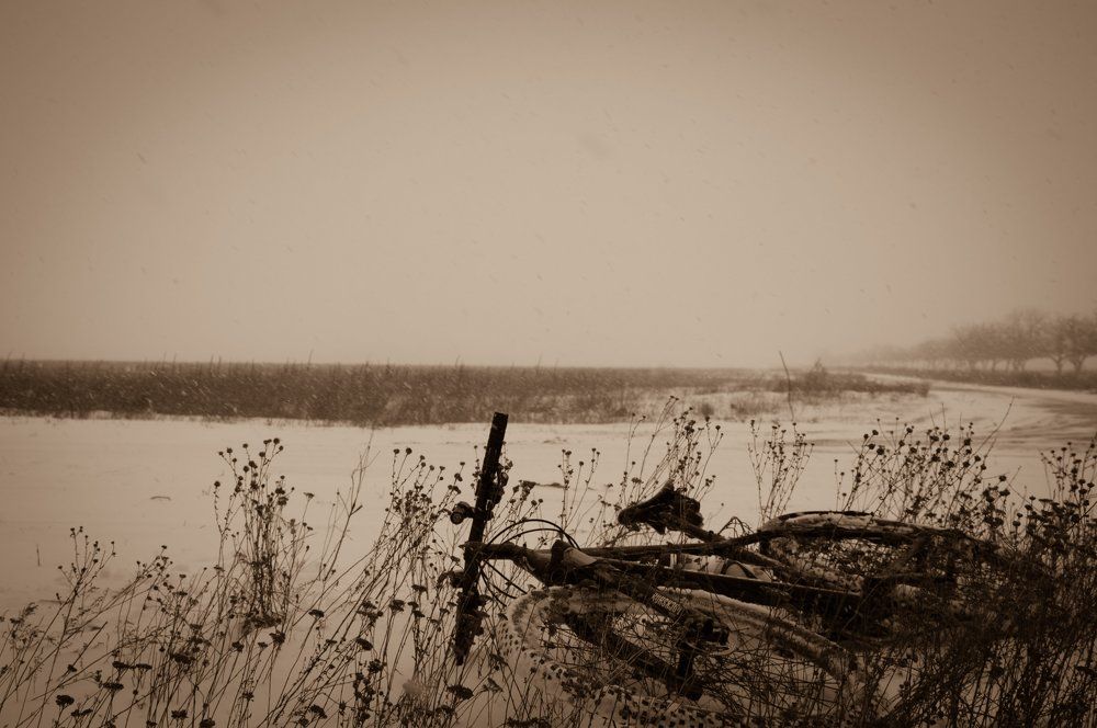 зимняя метель