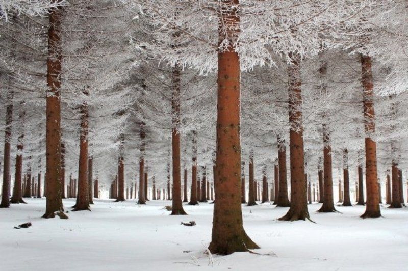Светлана, Russia