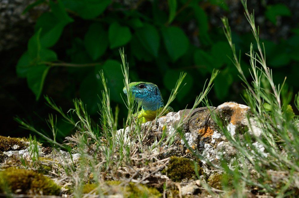 Photograph by Сергей