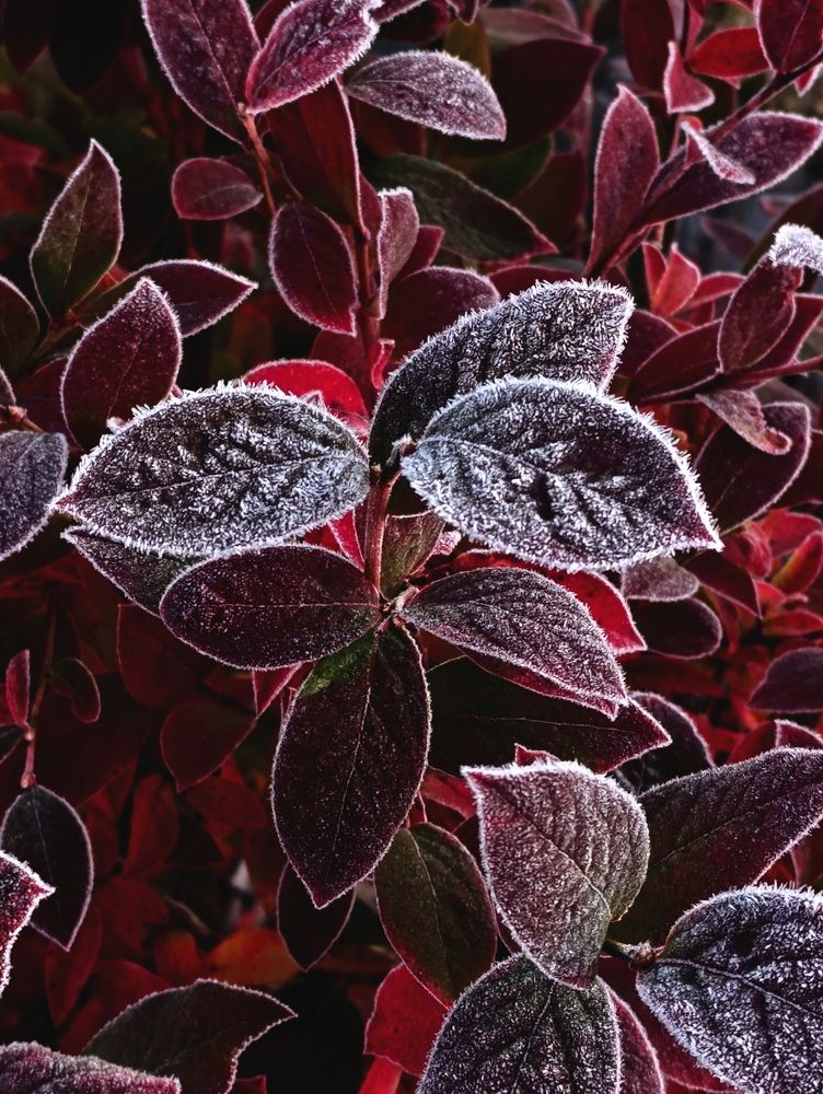 Фотография автора Светлана Таркан