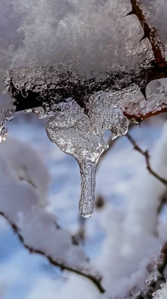 Photograph by Юлия Якубова