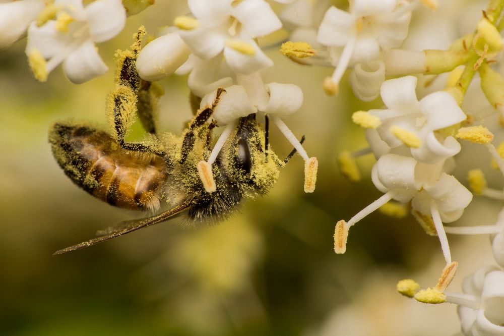 Photograph by Esteban Acquaviva
