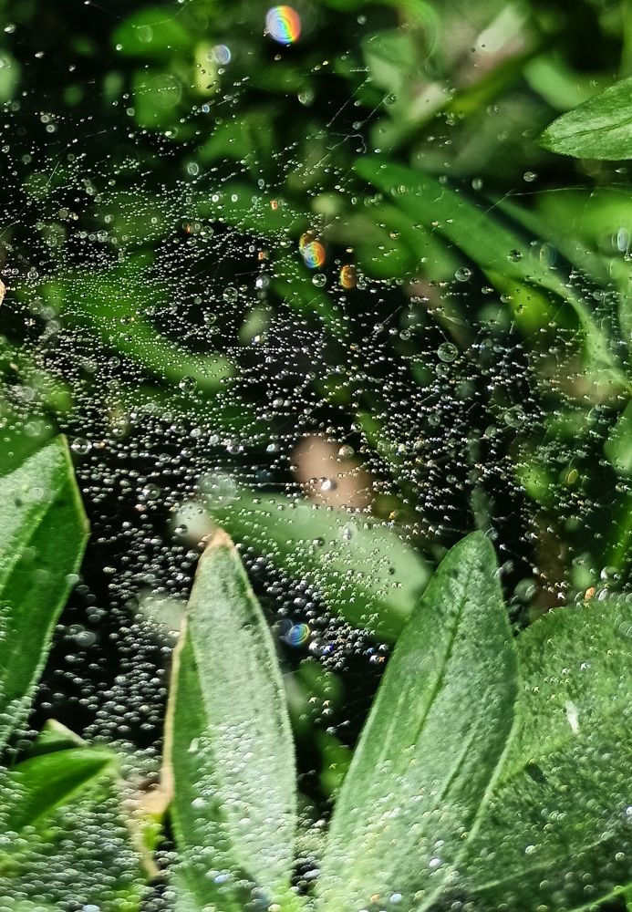 Фотография автора Анастасия Горбачева