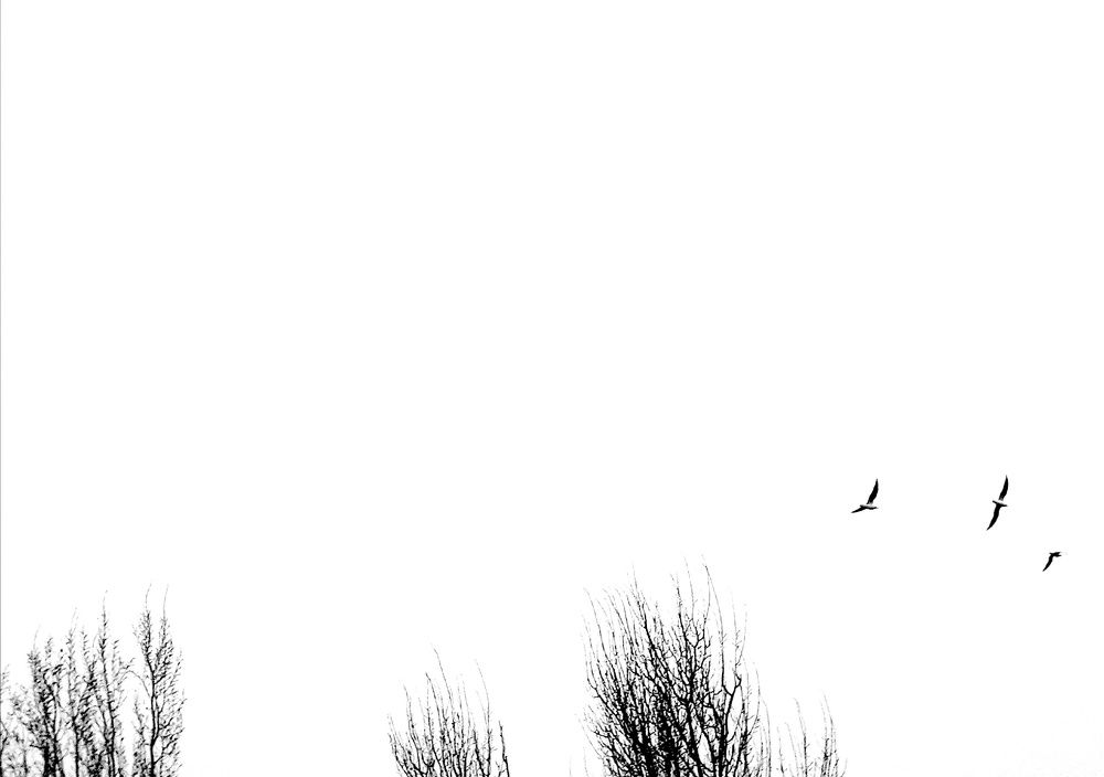 Photograph by Светлана Зубанова