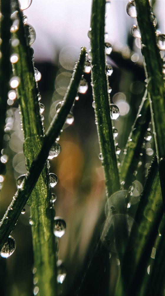 Photograph by Юлия Якубова