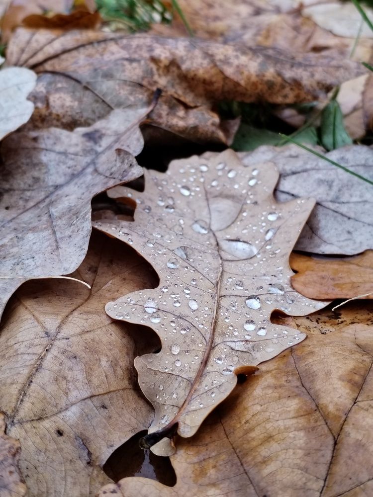Фотография автора Юлия Финогенова