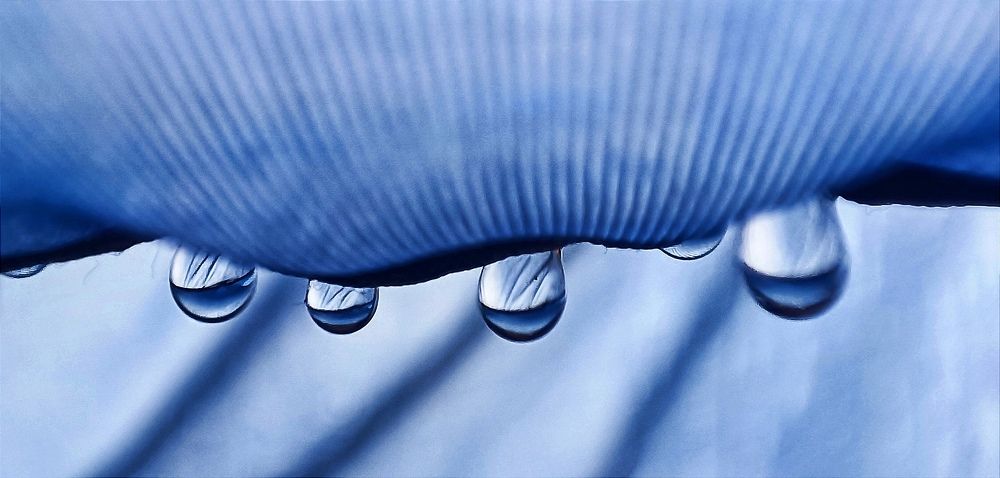 Photograph by Ульяна Северинова