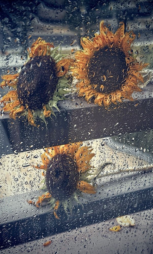 Photograph by Оксана Абакумова