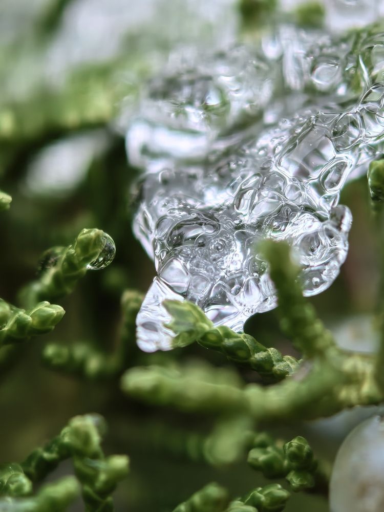 Photograph by Оксана Абакумова