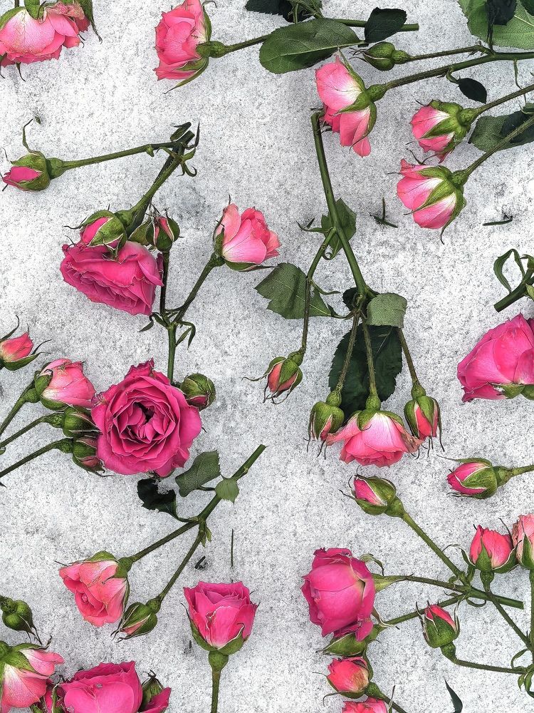 Photograph by Оксана Абакумова