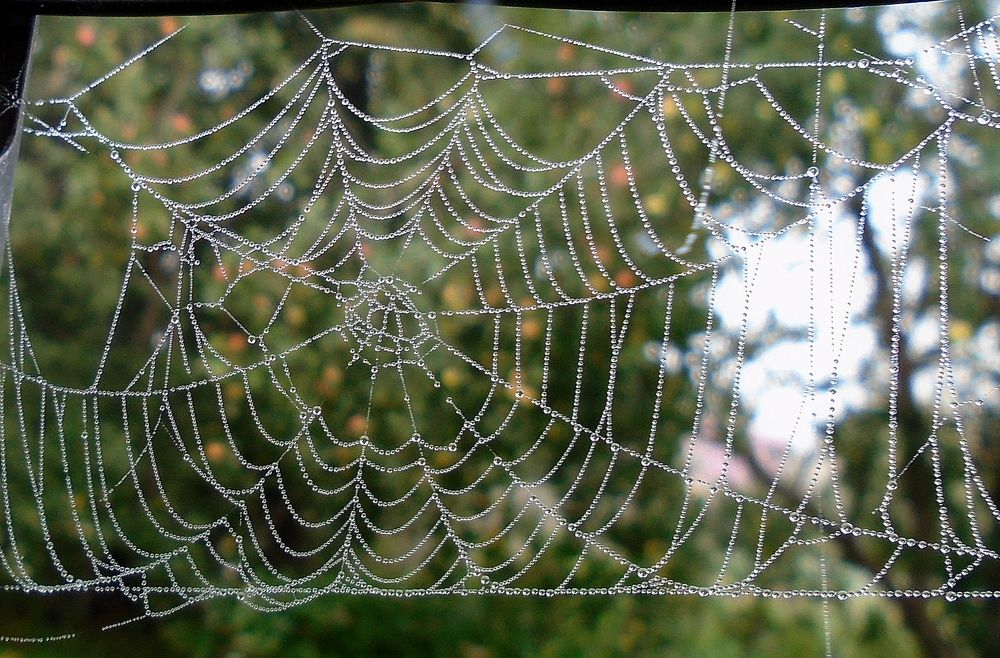 Photograph by Михаил Попов