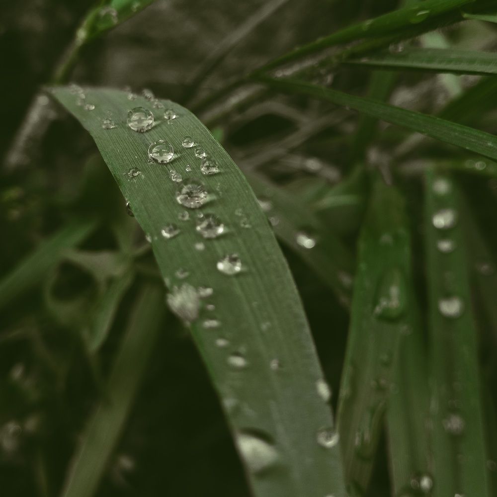 Фотография автора Кристина Присяжная