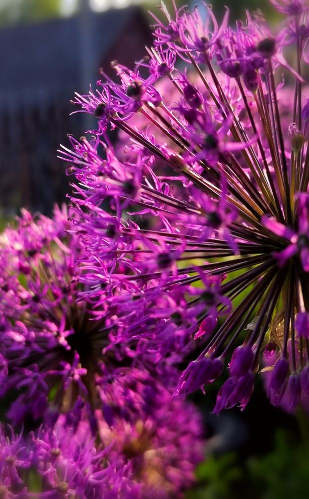 Photograph by Ольга Соловьёва