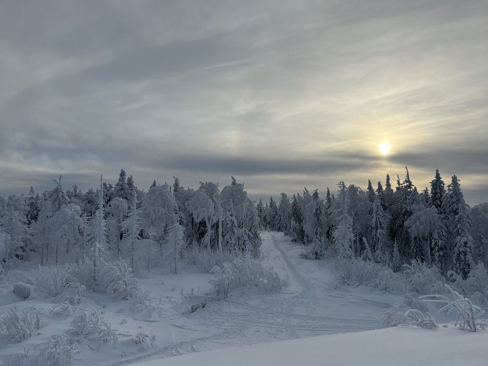 Photograph by Оксана Абакумова