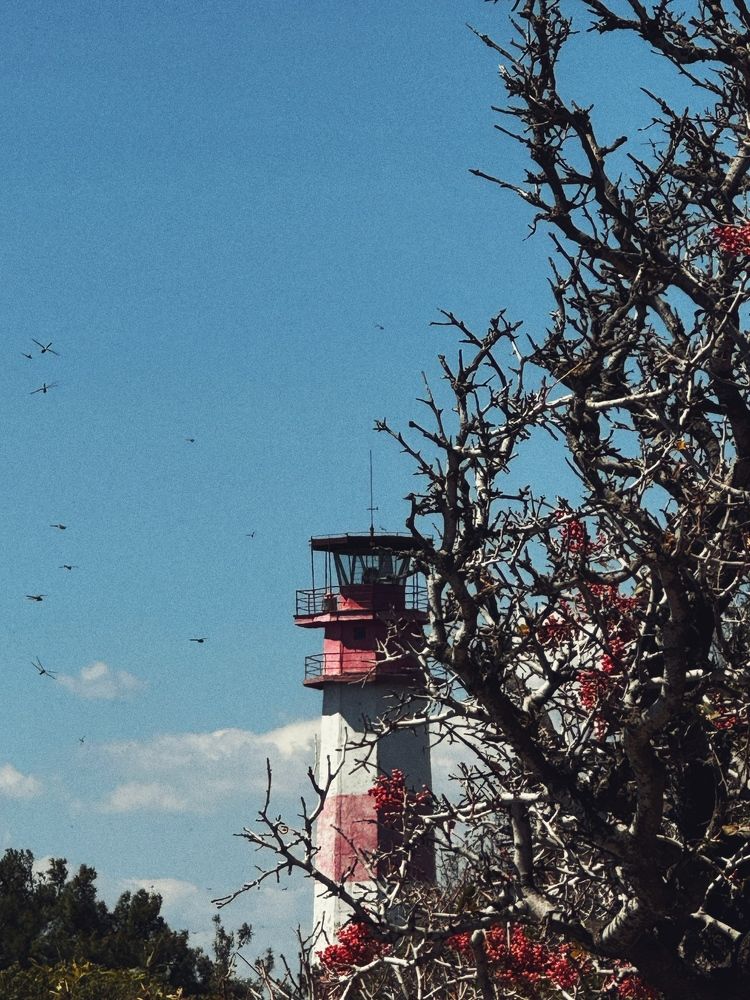 Photograph by Оксана Абакумова