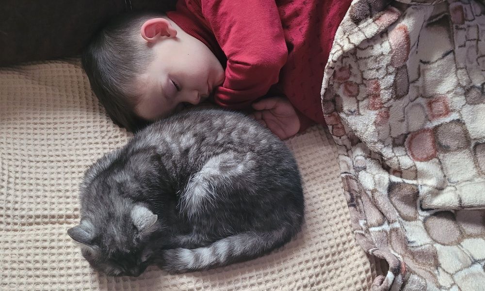 Фотография автора Метушова Анна