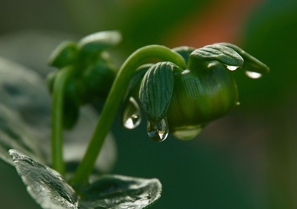 Photograph by Василий Быстрицкий