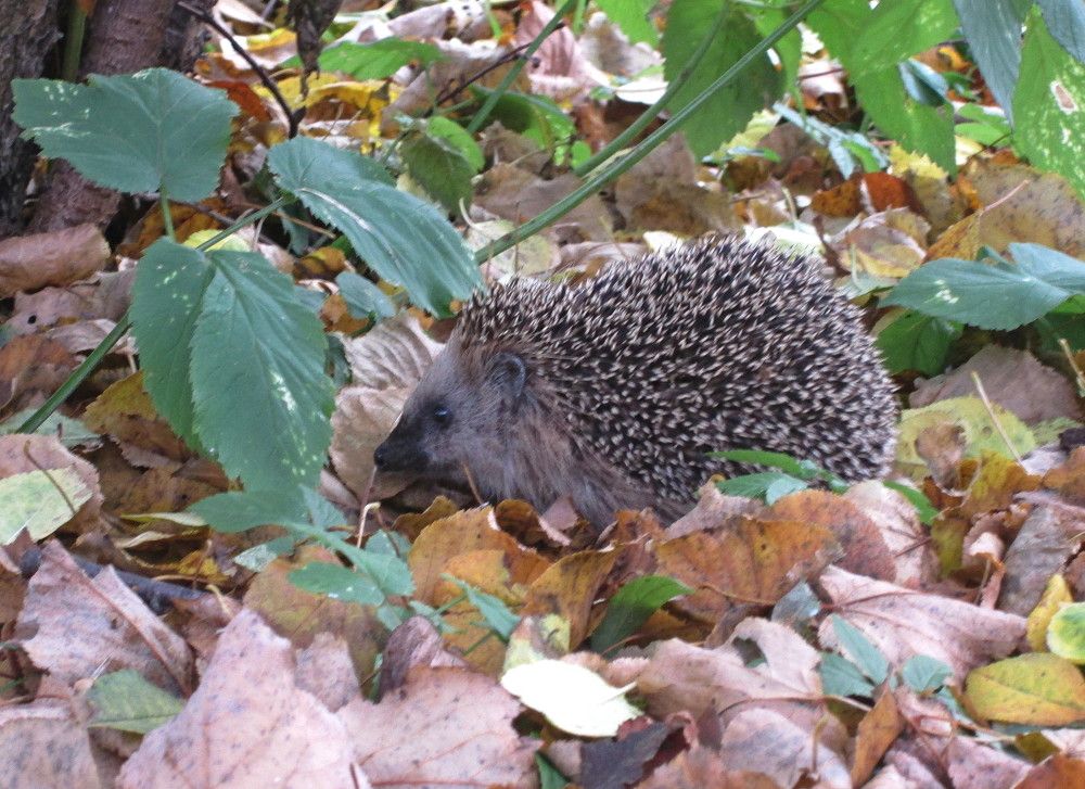 Photograph by Михаил Попов