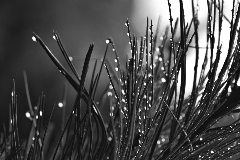 Фотография автора Екатерина Першина