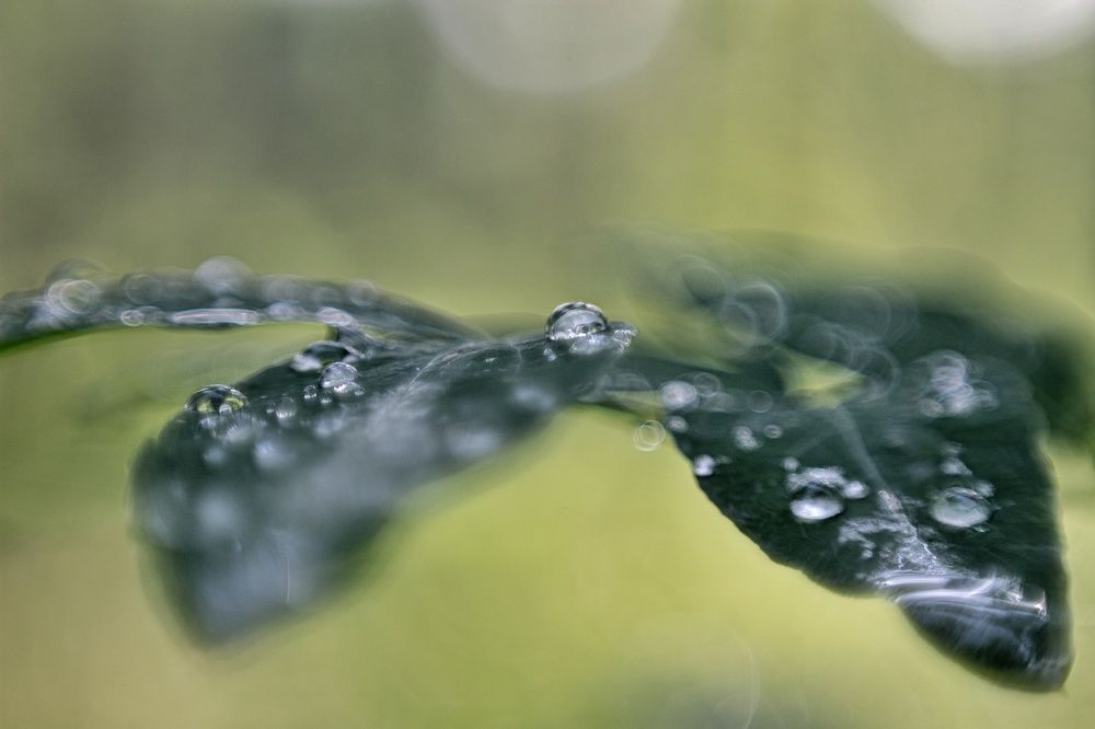 Фотография автора Екатерина Першина