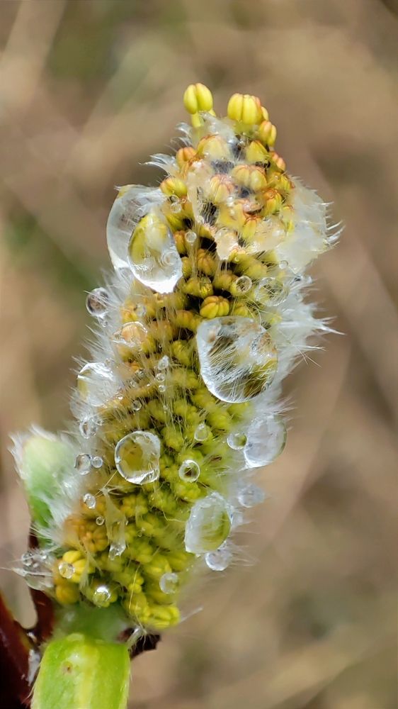 Фотография автора Марина Артемьева