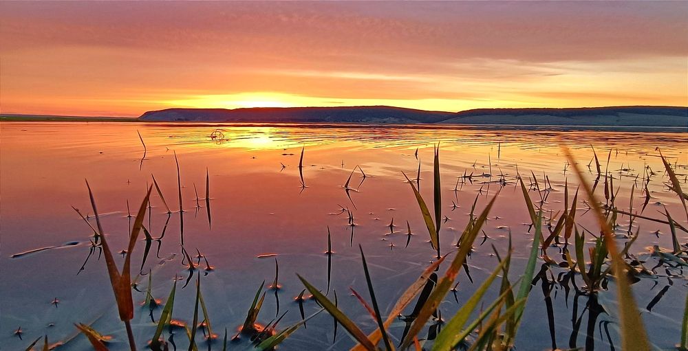 Photograph by Ульяна Северинова