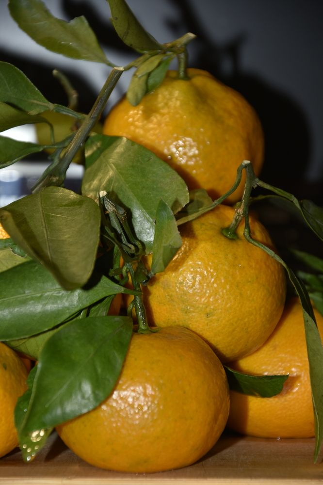 Фотография автора Юлия Ю.