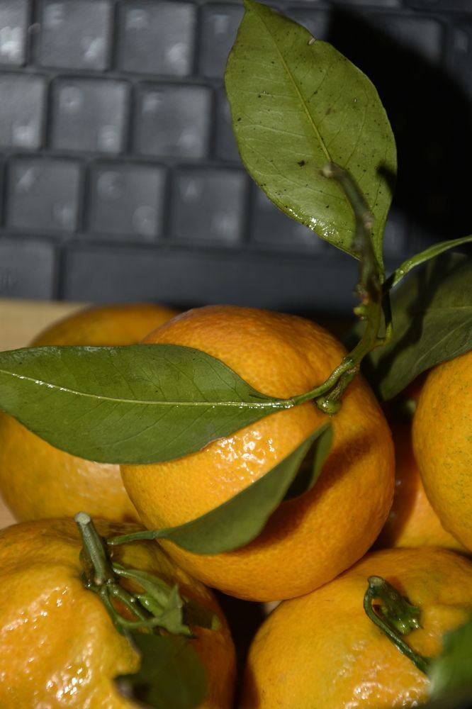 Фотография автора Юлия Ю.