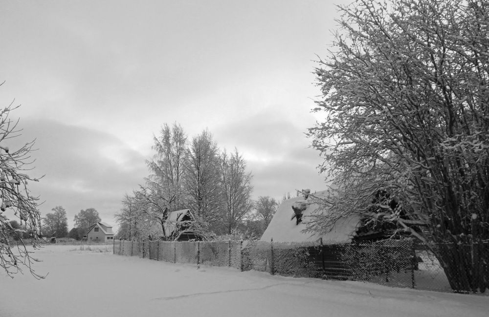 Фотография автора Алла Бойко