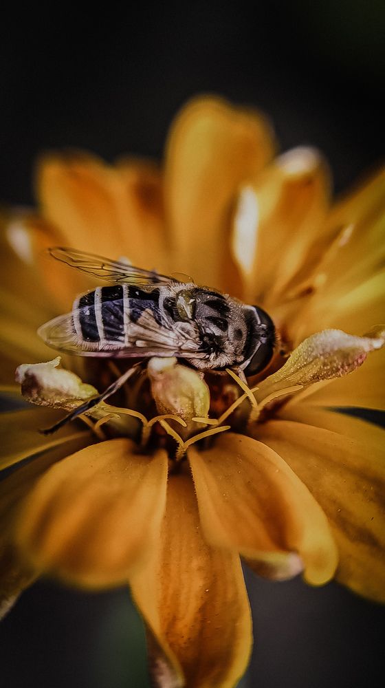 Photograph by Юлия Якубова