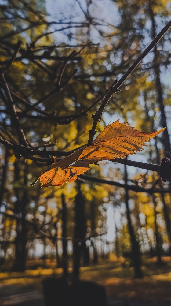 Photograph by Юлия Якубова