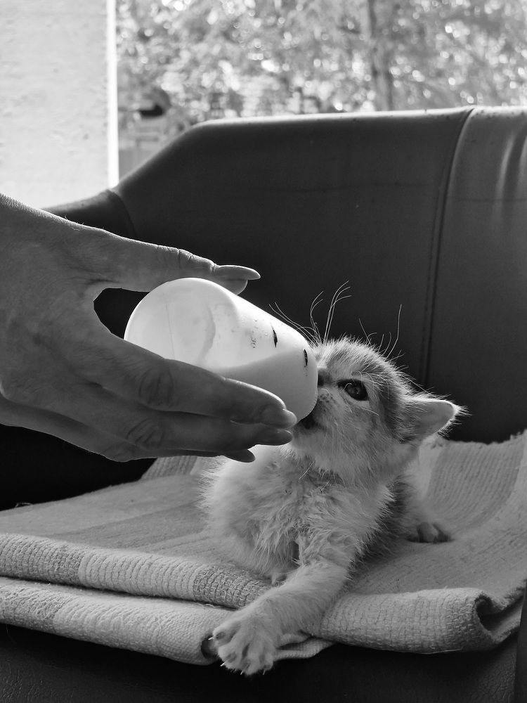 Photograph by Robert Suditu