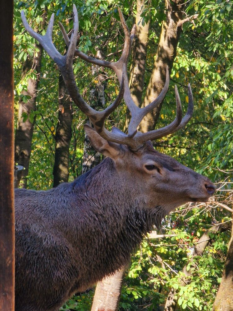 Photograph by Robert Suditu