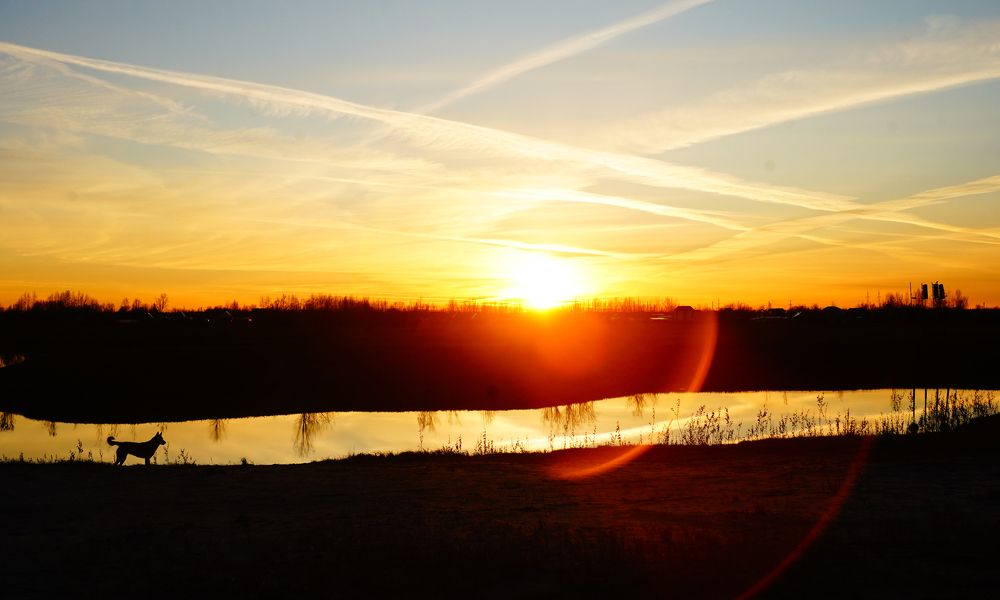 Photograph by Диана Герасимова