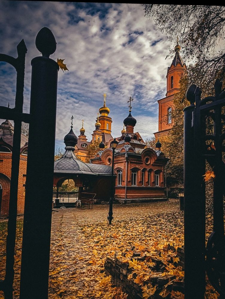 Фотография автора Светлана Таркан