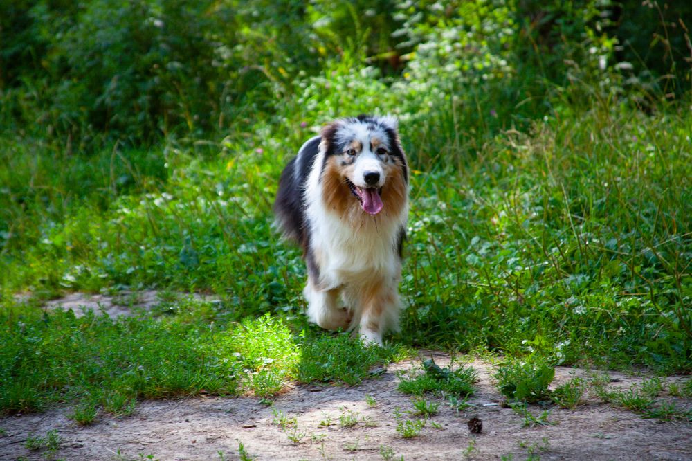 Фотография автора Анна Волкова