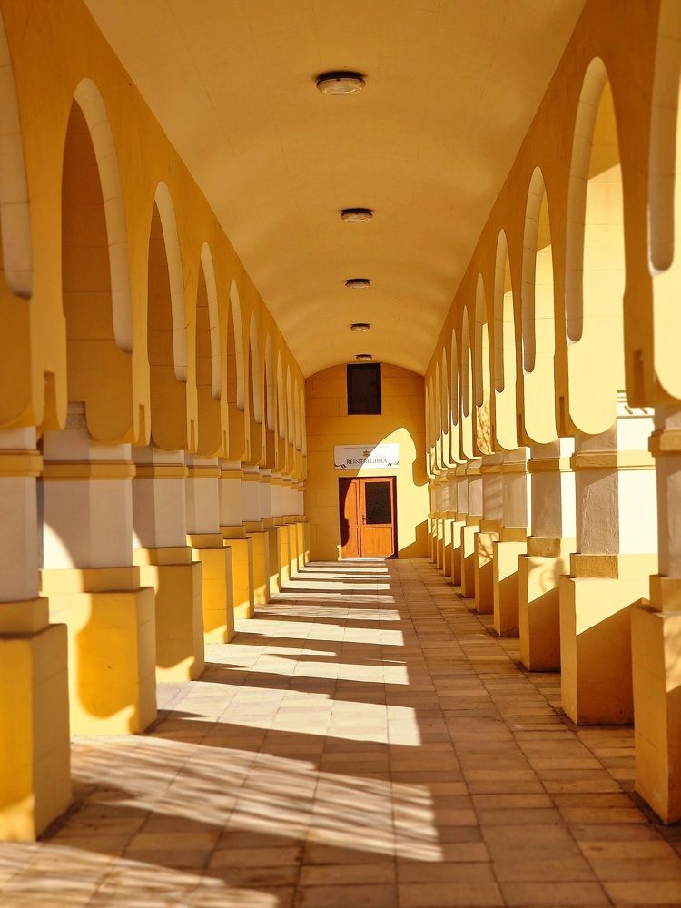 Photograph by Robert Suditu