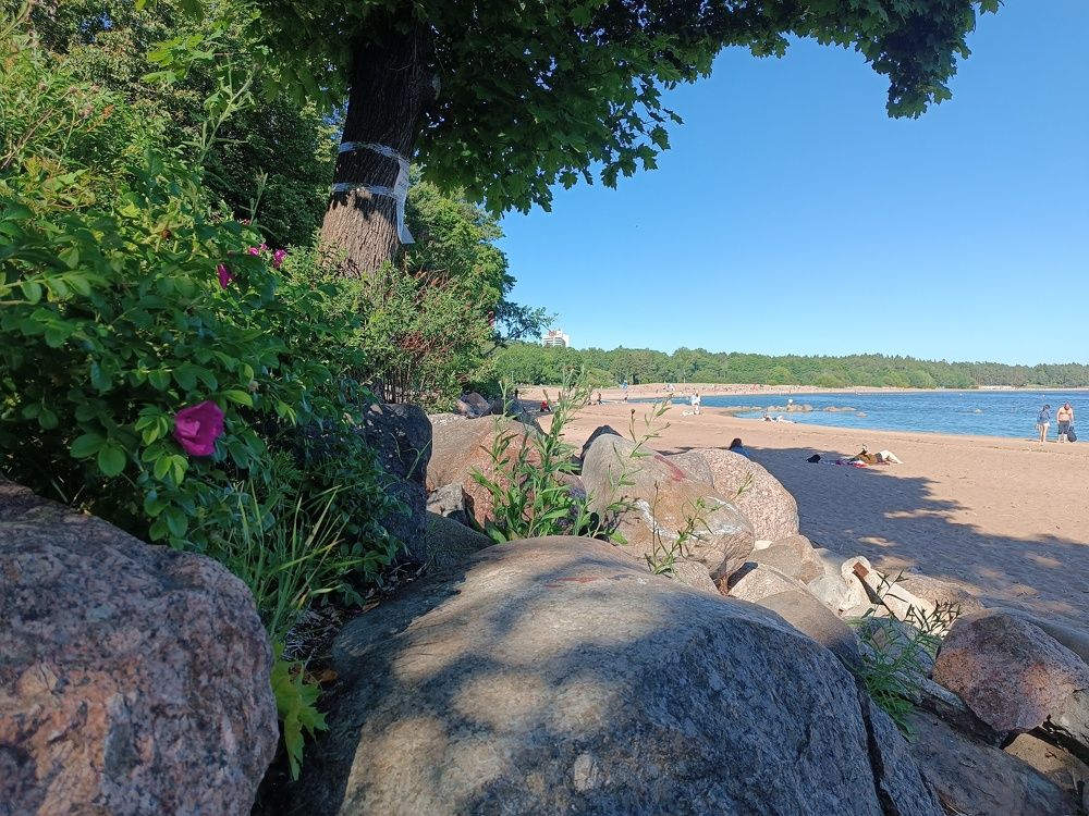 Фотография автора Алла Бойко